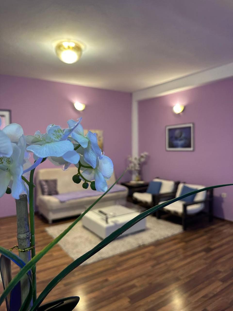Riaho Apartment Mostar Extérieur photo